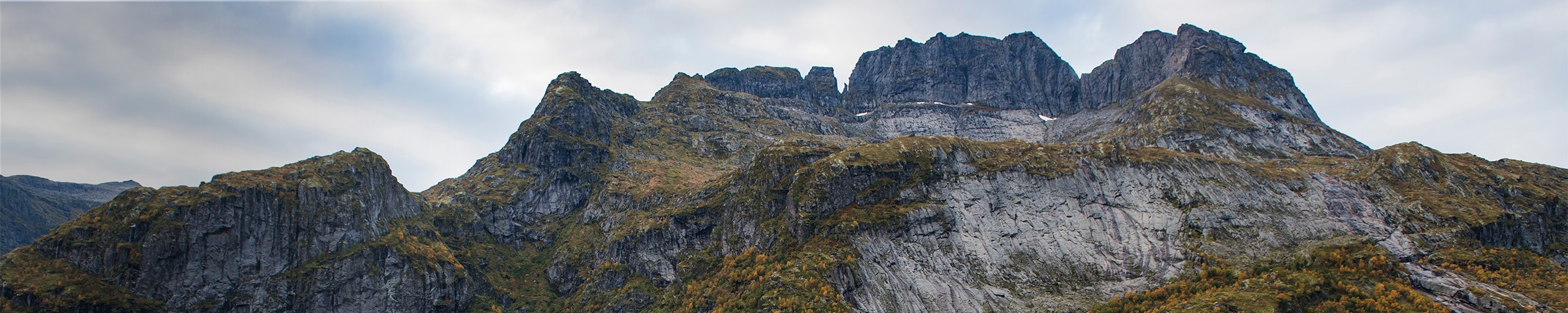 A peaceful and natural landscape.