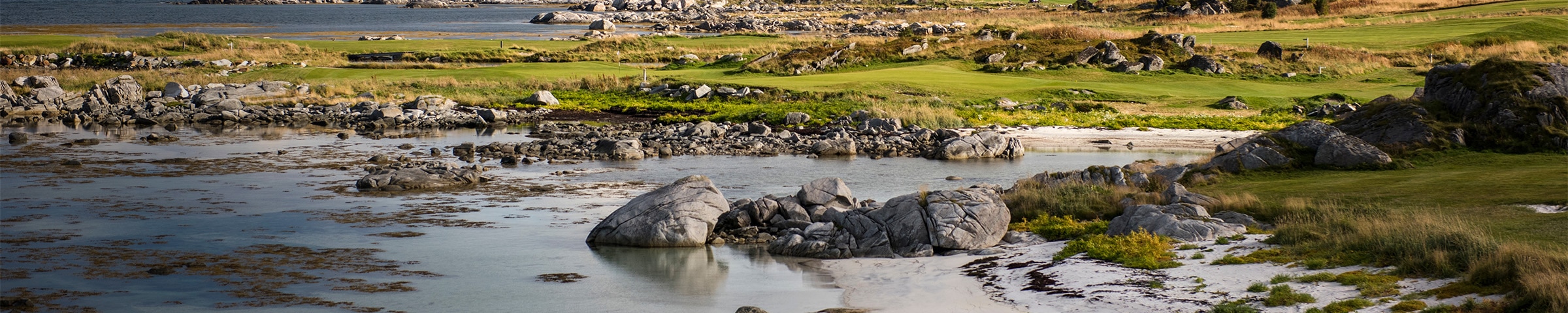 A peaceful and natural landscape.